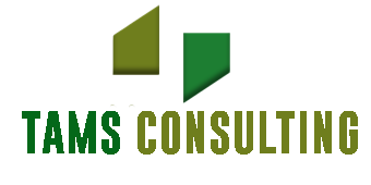 TAMS Consulting UK Ltd